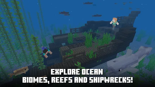 Essai Minecraft screenshot 4